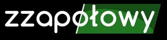 Zzapołowy